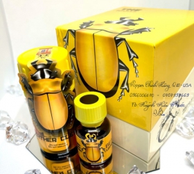 Lọ hít tăng hưng phấn Popper Bọ Cánh Cứng - Hộp 50ml
